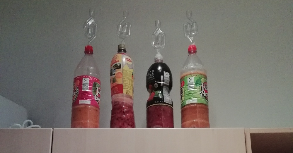 fermentelli.jpg