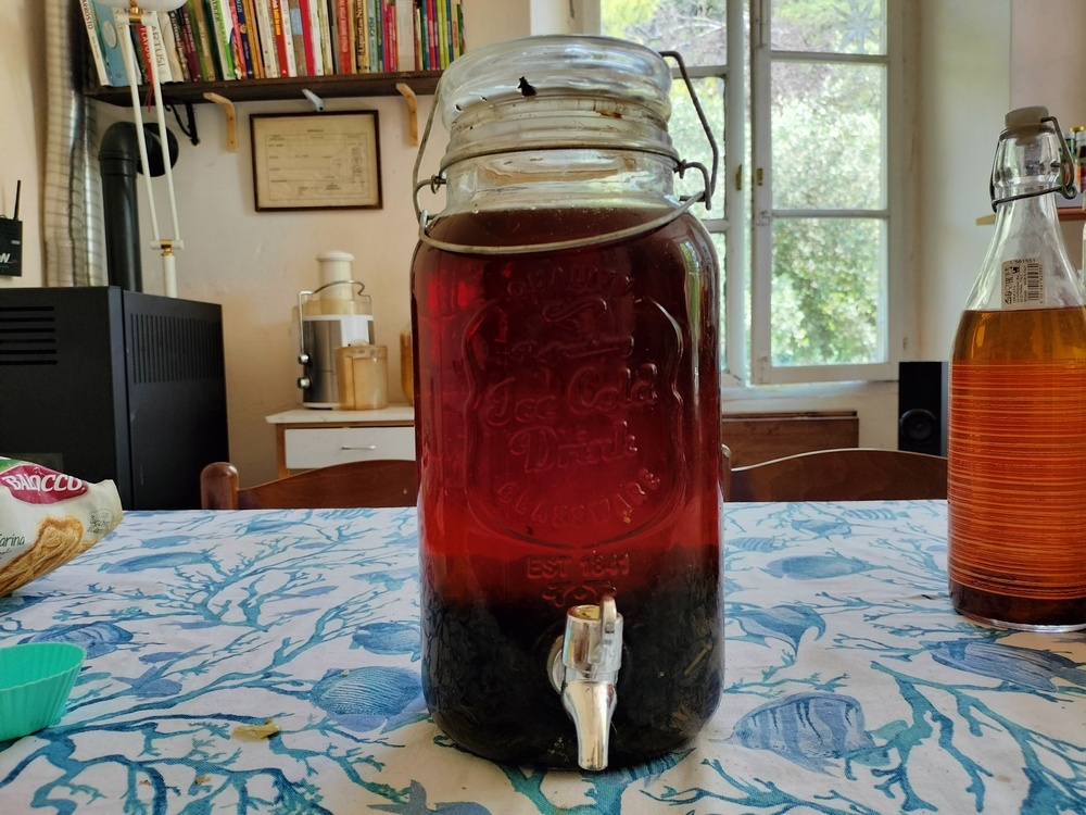 kombucha.jpg